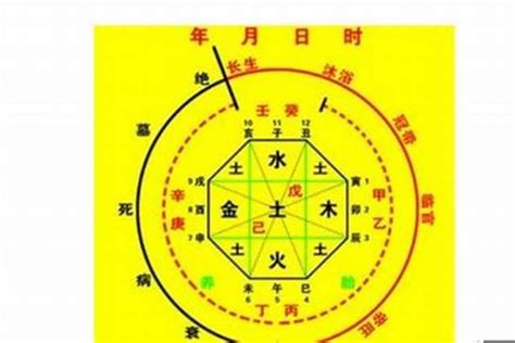 2013年生肖五行|2013年属蛇的是什么命，13年出生的蛇五行属什么